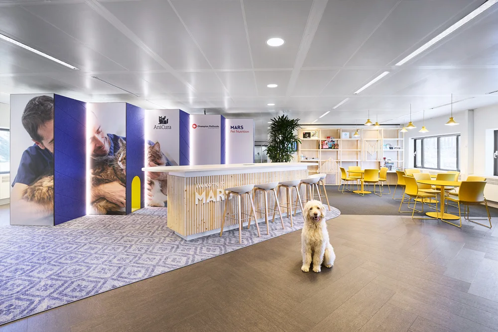 Tribes managed suites